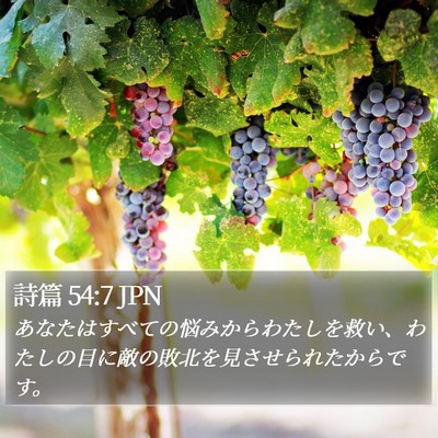詩篇 54:7 JPN Bible Verse Image