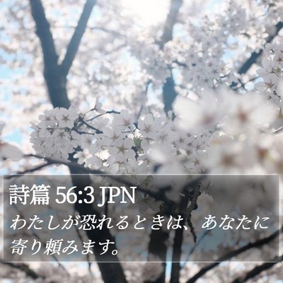 詩篇 56:3 JPN Bible Verse Image