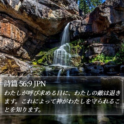 詩篇 56:9 JPN Bible Verse Image