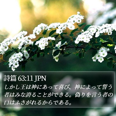 詩篇 63:11 JPN Bible Verse Image