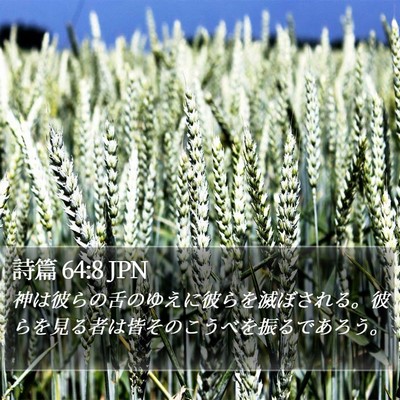 詩篇 64:8 JPN Bible Verse Image