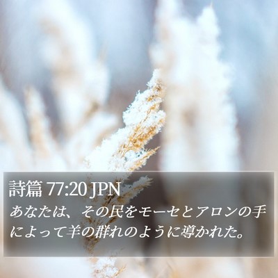 詩篇 77:20 JPN Bible Verse Image