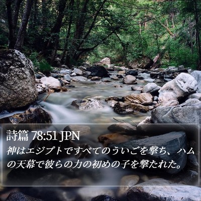 詩篇 78:51 JPN Bible Verse Image