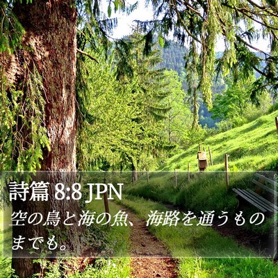 詩篇 8:8 JPN Bible Verse Image