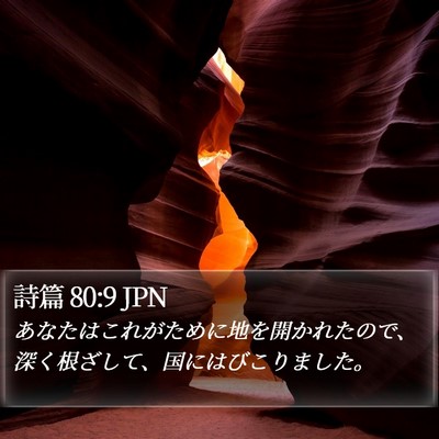 詩篇 80:9 JPN Bible Verse Image