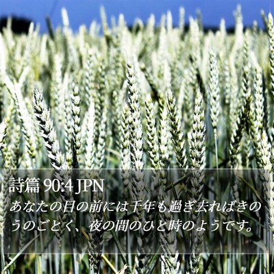 詩篇 90:4 JPN Bible Verse Image