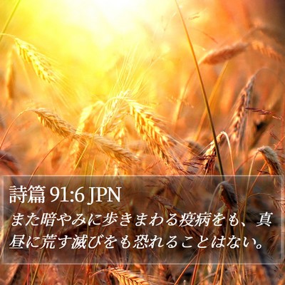 詩篇 91:6 JPN Bible Verse Image