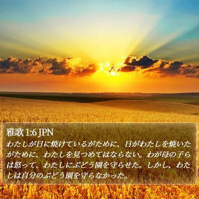 雅歌 1:6 JPN Bible Verse Image