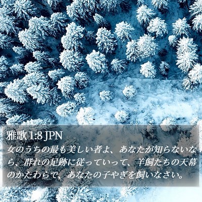 雅歌 1:8 JPN Bible Verse Image
