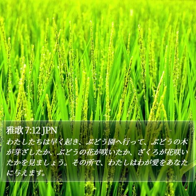 雅歌 7:12 JPN Bible Verse Image
