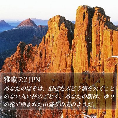 雅歌 7:2 JPN Bible Verse Image