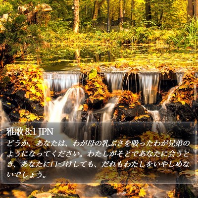 雅歌 8:1 JPN Bible Verse Image