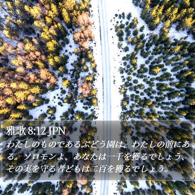 雅歌 8:12 JPN Bible Verse Image