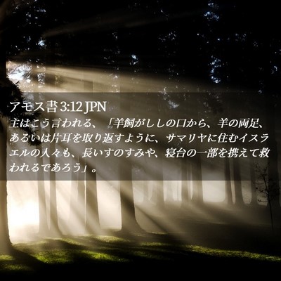 Picture 02 - アモス書 3:12 JPN - 主はこう言われる、「羊飼がししの - Bible Verse Picture