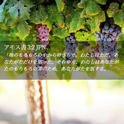 Picture 02 - アモス書 3:2 JPN - 「地のもろもろのやからのうちで、 - Bible Verse Picture