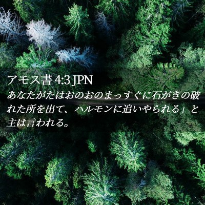 Picture 02 - アモス書 4:3 JPN - あなたがたはおのおのまっすぐに石 - Bible Verse Picture