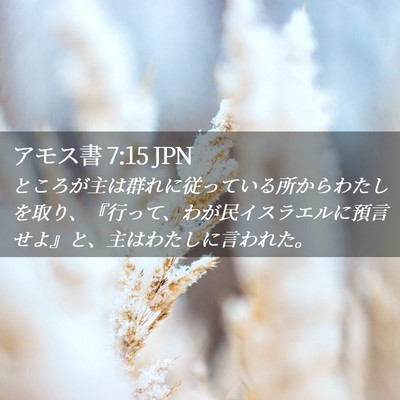 Picture 02 - アモス書 7:15 JPN - ところが主は群れに従っている所か - Bible Verse Picture