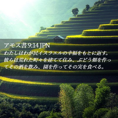 Picture 02 - アモス書 9:14 JPN - わたしはわが民イスラエルの幸福を - Bible Verse Picture