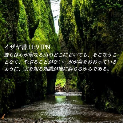 Picture 02 - イザヤ書 11:9 JPN - 彼らはわが聖なる山のどこにおいて - Bible Verse Picture