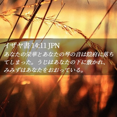 Picture 02 - イザヤ書 14:11 JPN - あなたの栄華とあなたの琴の音は陰 - Bible Verse Picture