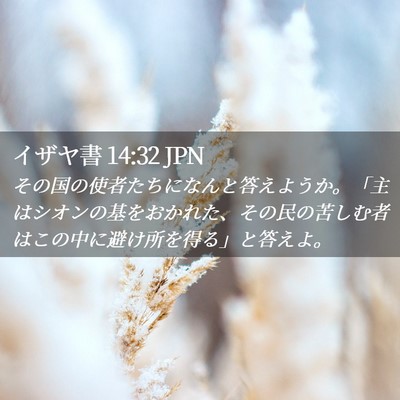 Picture 02 - イザヤ書 14:32 JPN - その国の使者たちになんと答えよう - Bible Verse Picture
