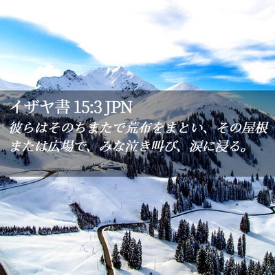 Picture 02 - イザヤ書 15:3 JPN - 彼らはそのちまたで荒布をまとい、 - Bible Verse Picture