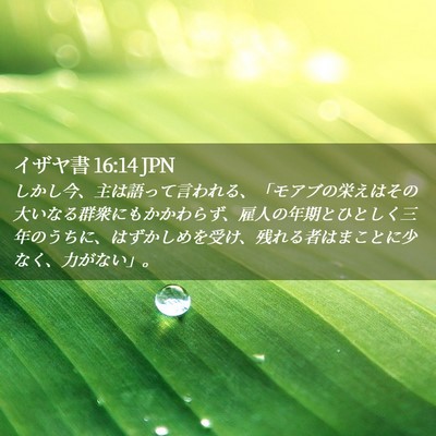 Picture 02 - イザヤ書 16:14 JPN - しかし今、主は語って言われる、「 - Bible Verse Picture