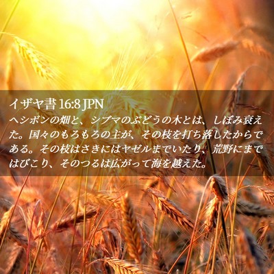 Picture 02 - イザヤ書 16:8 JPN - ヘシボンの畑と、シブマのぶどうの - Bible Verse Picture