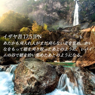 Picture 02 - イザヤ書 17:5 JPN - あたかも刈入れ人がまだ刈らない麦 - Bible Verse Picture