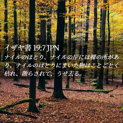 Picture 02 - イザヤ書 19:7 JPN - ナイルのほとり、ナイルの岸には裸 - Bible Verse Picture