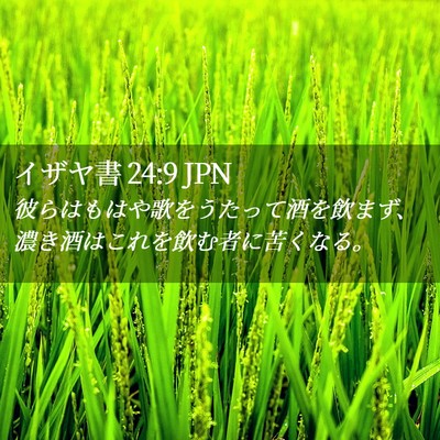 Picture 02 - イザヤ書 24:9 JPN - 彼らはもはや歌をうたって酒を飲ま - Bible Verse Picture