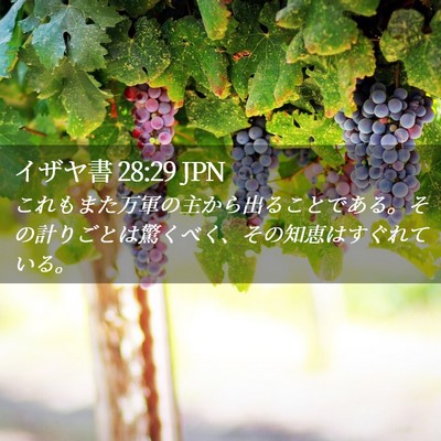 Picture 02 - イザヤ書 28:29 JPN - これもまた万軍の主から出ることで - Bible Verse Picture