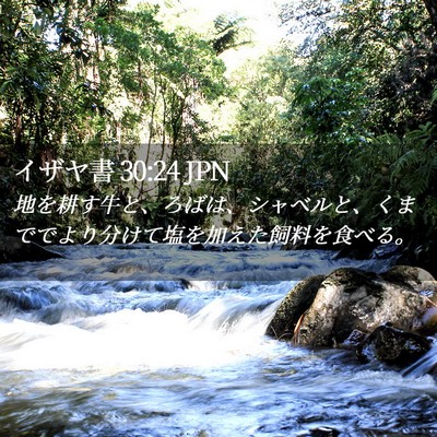 Picture 02 - イザヤ書 30:24 JPN - 地を耕す牛と、ろばは、シャベルと - Bible Verse Picture