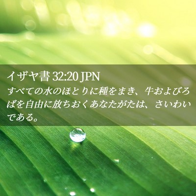 Picture 02 - イザヤ書 32:20 JPN - すべての水のほとりに種をまき、牛 - Bible Verse Picture