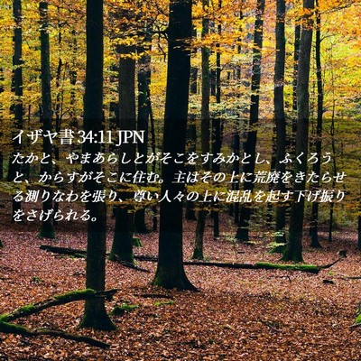 Picture 02 - イザヤ書 34:11 JPN - たかと、やまあらしとがそこをすみ - Bible Verse Picture