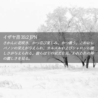 Picture 02 - イザヤ書 35:2 JPN - さかんに花咲き、かつ喜び楽しみ、 - Bible Verse Picture