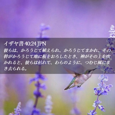 Picture 02 - イザヤ書 40:24 JPN - 彼らは、かろうじて植えられ、かろ - Bible Verse Picture