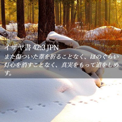 Picture 02 - イザヤ書 42:3 JPN - また傷ついた葦を折ることなく、ほ - Bible Verse Picture