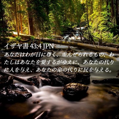 Picture 02 - イザヤ書 43:4 JPN - あなたはわが目に尊く、重んぜられ - Bible Verse Picture