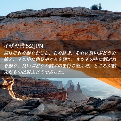 Picture 02 - イザヤ書 5:2 JPN - 彼はそれを掘りおこし、石を除き、 - Bible Verse Picture