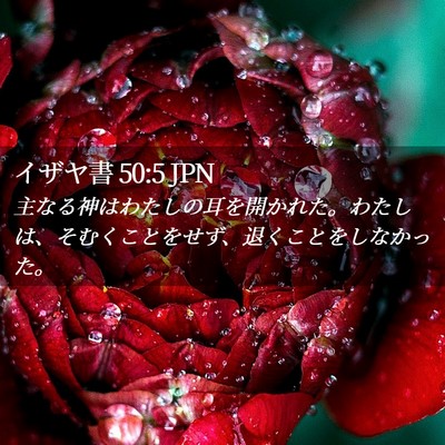 Picture 02 - イザヤ書 50:5 JPN - 主なる神はわたしの耳を開かれた。 - Bible Verse Picture