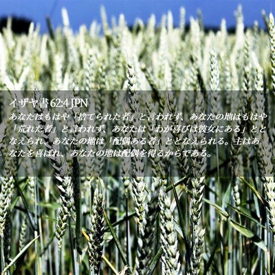 Picture 02 - イザヤ書 62:4 JPN - あなたはもはや「捨てられた者」と - Bible Verse Picture