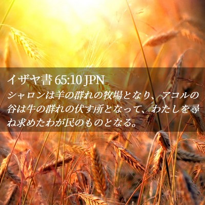 Picture 02 - イザヤ書 65:10 JPN - シャロンは羊の群れの牧場となり、 - Bible Verse Picture
