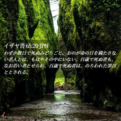 Picture 02 - イザヤ書 65:20 JPN - わずか数日で死ぬみどりごと、おの - Bible Verse Picture