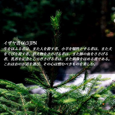 Picture 02 - イザヤ書 66:3 JPN - 牛をほふる者は、また人を殺す者、 - Bible Verse Picture