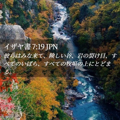 Picture 02 - イザヤ書 7:19 JPN - 彼らはみな来て、険しい谷、岩の裂 - Bible Verse Picture