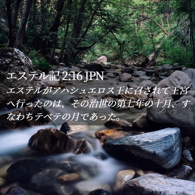 Picture 02 - エステル記 2:16 JPN - エステルがアハシュエロス王に召さ - Bible Verse Picture