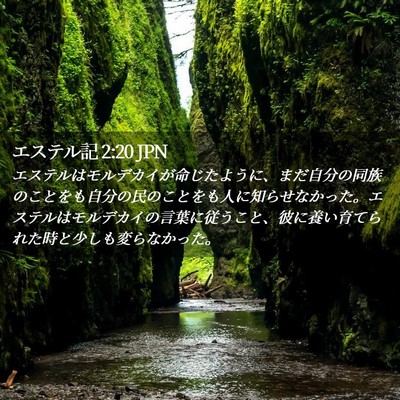 Picture 02 - エステル記 2:20 JPN - エステルはモルデカイが命じたよう - Bible Verse Picture