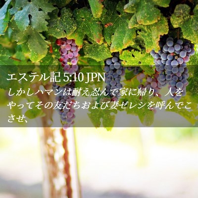 Picture 02 - エステル記 5:10 JPN - しかしハマンは耐え忍んで家に帰り - Bible Verse Picture