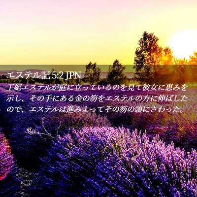 Picture 02 - エステル記 5:2 JPN - 王妃エステルが庭に立っているのを - Bible Verse Picture